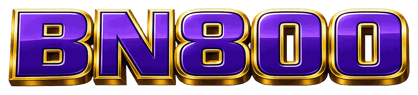 bn800 logo